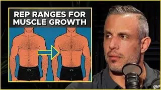 The BEST REP RANGES For CHEST GAINS