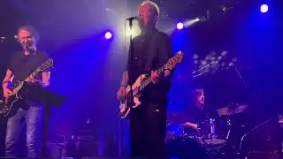 Tom Robinson Band LIVE 2-4-6-8 Motorway 2024
