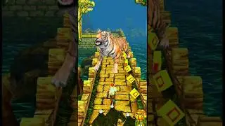 Tiger Attack Me 🤯 | 