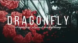 Dana and Alden Dragonfly | Slowed&Reverb | 𝖙𝖔 𝖕𝖊𝖗𝖋𝖊𝖈𝖙𝖎𝖔𝖓
