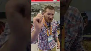 New bait alert
