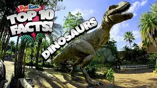 YOU NEVER KNEW THIS ABOUT DINOSAURS...(TOP 10 FACTS)