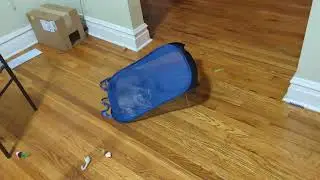 Gadget loves 