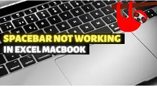 Spacebar not working inside cells in Excel (không sử dụng được phím space trên Macbook)