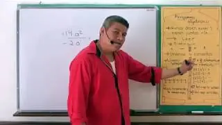 Curso de álgebra básica