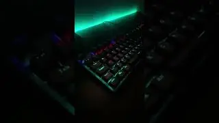 Desenvolvedores amam teclados e setups