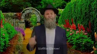Недельная глава Торы 