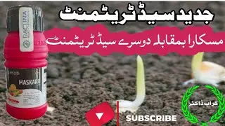 New vs Old Seed Treatment #seed cycling, #seed growing time laps#agriculture