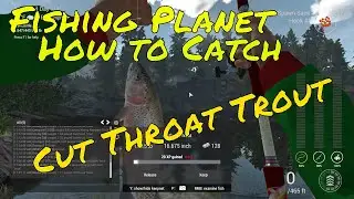 Fishing Planet How to Catch Cut Throat Trout in Colorado