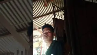 Nais Ko Cover by Kyle mang Gi