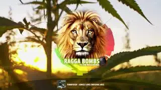 Tomoyoshi - Jungle Love (Original Mix)