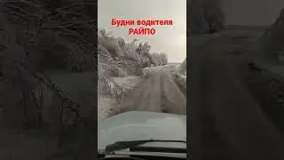 Водитель это не профессия а призвание😎😎😎🚚