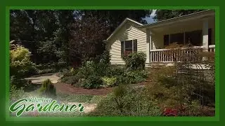 Robyn Brown Perennial Garden | Volunteer Gardener