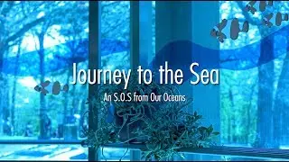 Journey to the Sea: An S.O.S. from Our Oceans