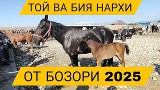 От бозор Сурхондарё Сариосё Пайшанба От Бозори От Бия Той Нархлари 2025