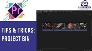 Premiere Pro : Tips & Tricks with your Project Bin