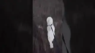 Voltinha com o max
