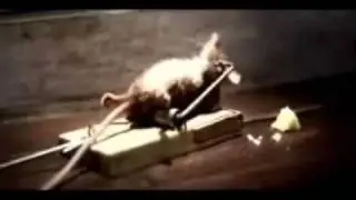Rudy's Cheese.wmv