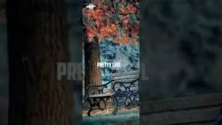 Pretty Girl I Like You😍💕lyrics whatsapp status