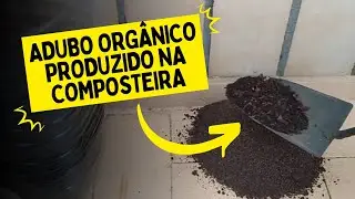 OFEREÇA NUTRIENTES PARA AS PLANTAS COM ADUBO PRODUZIDO EM CASA