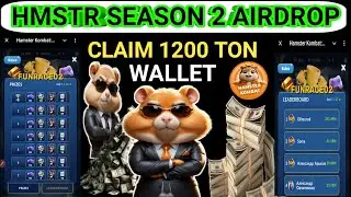 Hamster Kombat season 2 Airdrop || Hamster claim 1200 ton your wallet || hamster season 2 new update