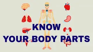 Body Parts for Kids Learning | Human Body Parts for Kids |General Knowledge |Animated Video For Kids