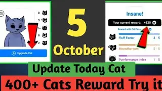 5 October upgrade cats cat photoupload || cat avatar today