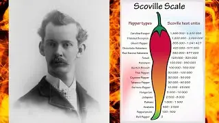 Scoville Scale | Wilbur Scoville PEPPER scale | Foodie Chili Peppers | Spicy science of Spiciness