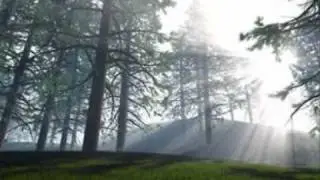 Joy Comes In The Morning