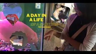 A DAY IN A LIFE OF A SABERON || family outing, roadtrip, visiting Madison Park Hotel