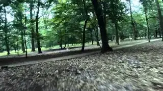 Brodzka weekend