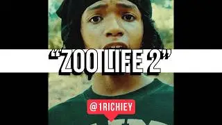 [FREE] BabyChiefDoIt Type Beat - Zoo Life 2