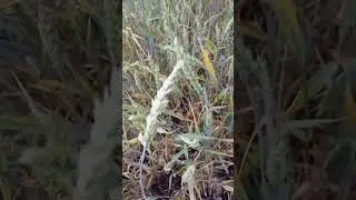 23 июня 2023 г.
