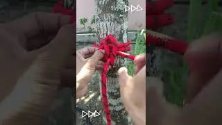 very beautiful loop knots  #knot #rope #knottutorial