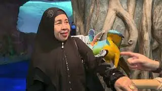 Jakarta aquarium safari SOHO