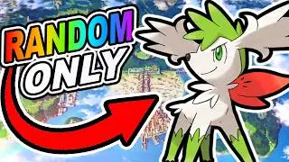 Pokémon Black 2 RANDOMIZER Hardcore Nuzlocke!