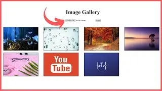How to upload an image with multer and display it | Making an Image Gallery | Code in Desc.