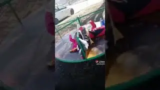 20 октября 2021 г.