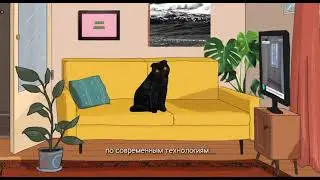 РЕНОВАЦИЯ - Кот Бублик