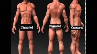 3D Model of Female And Male Characters Review