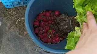 Подписчики удивляют, не знаю, что ответить