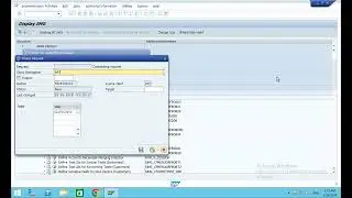Global Structure - PAN details of the company and Customer Group creation in Hana