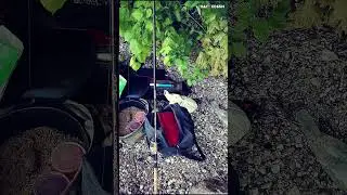 Время потраченное на рыбалке и есть Жизнь!