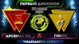 30.06.2024. 1Д. 7 тур. Арсенал Св - Гомер