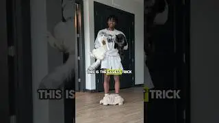 the EASIEST trick to teach ANY cat 