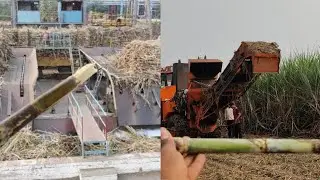 sugar factory video ! sugar making in sugar mill manufacturing process