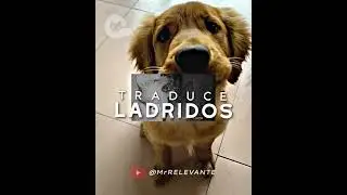 Dogs WILL TALK 😱🐕 