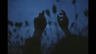 Felkers - Pa naktīm (2020)