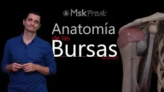 ANATOMÍA DE LAS BURSAS DEL HOMBRO (PARTE I)