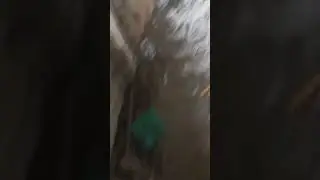 Комбат ВСУ закинул гранату в блиндаж к своим бойцам